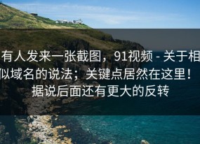 有人发来一张截图，91视频 - 关于相似域名的说法；关键点居然在这里！！据说后面还有更大的反转