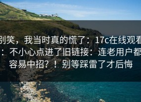 别笑，我当时真的慌了：17c在线观看：不小心点进了旧链接：连老用户都容易中招？！别等踩雷了才后悔
