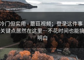 冷门但实用 - 蘑菇视频；登录这件事，关键点居然在这里…不花时间也能搞明白
